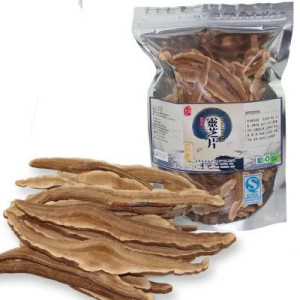Гриб рейши  (Ganoderma lucidum, ганодерма, линчжи, трутовик лакированный)